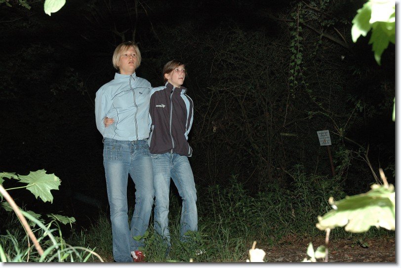 Nächstes Bild